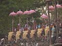 thrissur-pooram-2010 (40)